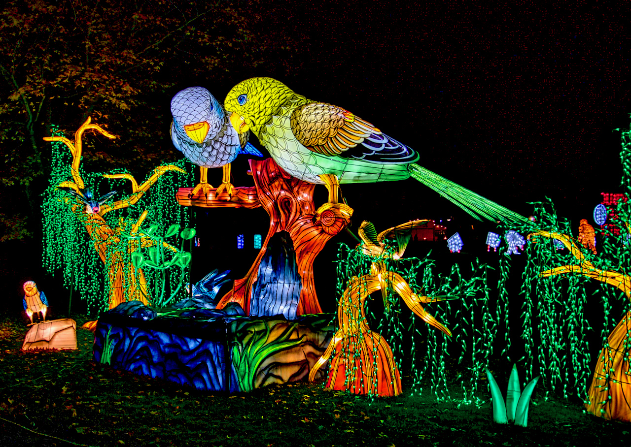 Wild Lanterns at Woodland Park Zoo is a mesmerizing, illuminated